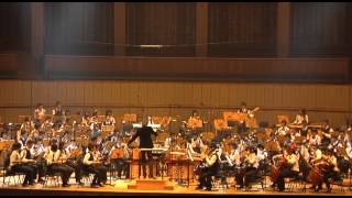 Good Day  Nanyang Polytechnic Chinese Orchestra [upl. by Neral]