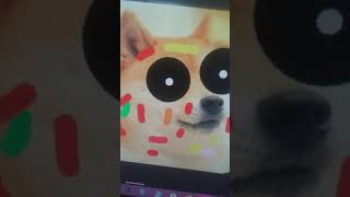 Doge VS ERROR Sans sorry its short [upl. by Aihtenak976]