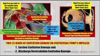 ALL ABOUT CAVITATION PUMP [upl. by Peria549]