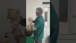 Surgical hand antisepsis surgeon follow protocol surgeryday vetlife vetvlogs animaldoctor [upl. by Durer259]