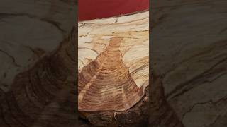 Revealing the process Maple burl chainsawed woodturning [upl. by Parthinia]