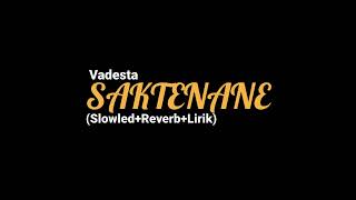 SAKTENANE  Vadesta SlowledReverplirik [upl. by Virgie]