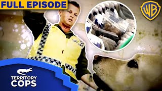 Sniffer dog finds drugs secretly hidden in groceries at Darwin Airport  Territory Cops S01E04 [upl. by Cyrille]