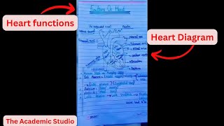 Human heart Function  Chapter Circulation Video  2 [upl. by Aharon]