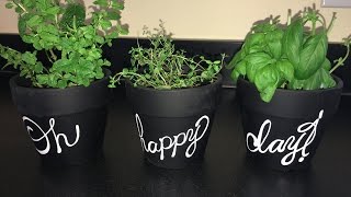 Chalkboard Paint amp Decorate Flower amp Herb Pots [upl. by Nnair]