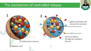 Controlled Release Fertilizer solution for different segments webinar [upl. by Hogle]