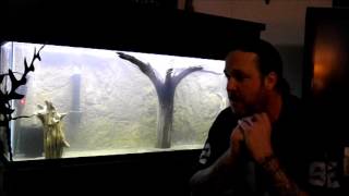 Cycle a freshwater aquarium using ammonia [upl. by Ecnerwaled]