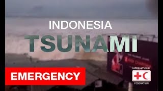 Indonesia  Sulawesi earthquake and tsunami [upl. by Lucille]