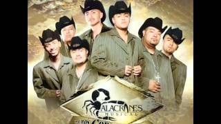 Alacranes Musical 500 Balazos [upl. by Dabney]