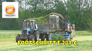 Silage 2019  Fortschritt E 281C forager with Belarus 920 [upl. by Llezom]