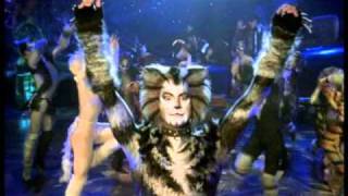 The Invitation to the Jellicle Ball  HD from Cats the Musical the film [upl. by Ecnerrot316]