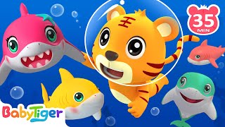 Baby Shark  Doo Doo Doo Dance🐟️  🎶More Animal Songs amp Nursery Rhymes  babyshark Song  BabyTiger [upl. by Dnomso]