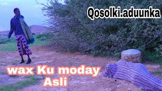 Riwaayad Qosol badan  Waxaa ku mooday Asli  Doob Dareen baa Dilay Sacad murqaanamp Libaax kabeye [upl. by Kaiulani187]