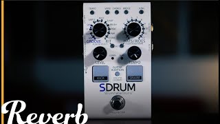 DigiTech SDRUM AutoDrummer Pedal  Reverb Demo [upl. by Anniala]