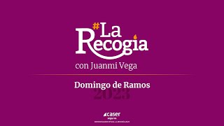 La Recogía Domingo de Ramos de la Semana Santa de Sevilla 2023 [upl. by Ledah]