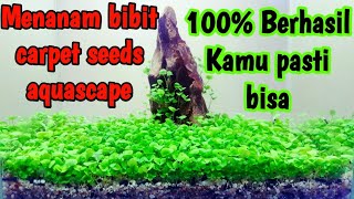 🔴10 MENIT PANDUAN MENANAM CARPET SEED AQUASCAPE COCOK UNTUK PEMULA [upl. by Denis]