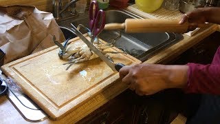 How to SAFELY prepare Live Blue Crab [upl. by Suirada]