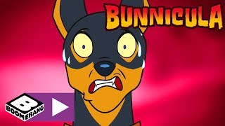 Bunnicula  Der Neuzugang  Cartoonito [upl. by Winna]