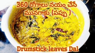 మునగాకు పప్పు అందరూ మిస్ చేస్తున్నారా  Moringa leaves dal  drumstick leaves dal [upl. by Llemmart456]