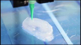 Scientists Use 3D Printer and Living quotInkquot to Create Body Parts [upl. by Anaugal637]