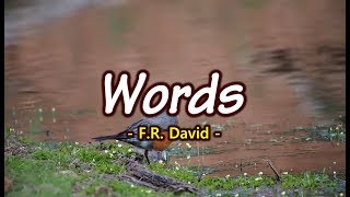 Words  FR David KARAOKE VERSION [upl. by Studdard251]