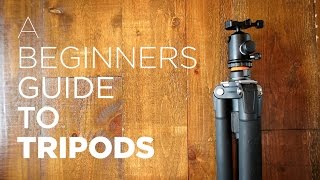 Beginners Guide to Tripods  Benefits How to Use Recommended Tripod Gear [upl. by Bradski]