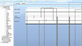 Crystal Reports 2011 Tutorial  Using the Field Explorer and Sections Tools [upl. by Meece852]