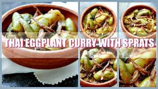 Thai Egg plant Curry with Sprats [upl. by Rj]