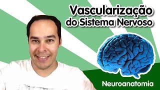 Neuroanatomia 11  Vascularização do Sistema Nervoso [upl. by Einoj]