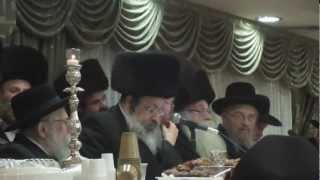 The Tolner Rebbe Chanukah with the Tolna Chassidim [upl. by Breen]