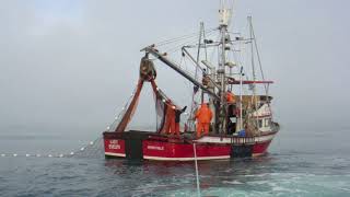 Commercial Fishing in Chignik Bay  ASTEs iDidaContest Submission [upl. by Aralk259]