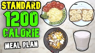 A Standard 1200 Calorie Meal Plan [upl. by Marylee158]