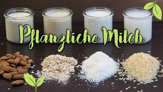 PFLANZLICHE MILCH selber machen  Vegane Rezepte Hafermilch  Mandelmilch  Reismilch  Kokosmilch [upl. by Neisa724]