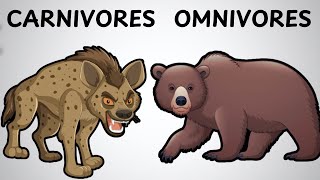 Whats the Real Difference Between Carnivores and Omnivores [upl. by Croix]