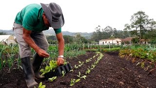 Importancia de la Agricultura Orgánica  TvAgro por Juan Gonzalo Angel [upl. by Otero907]