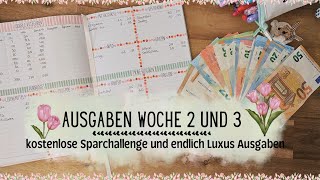 Ausgaben Woche 2 und 3 im Juli🌼 kostenlose Sparchallenge ♥ Meine echten Einnahmen und Ausgaben🌼 [upl. by Melbourne267]