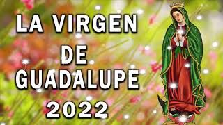 Canciones A La Virgen De Guadalupe  Alabanzas a la Virgen de GuadalupeLa Virgen De Guadalupe [upl. by Cortney]