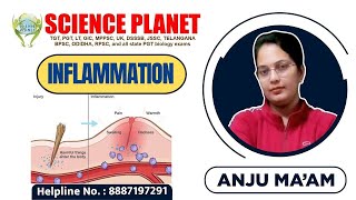 INFLAMMATION II BY ANJU MAM II SCIENCE PLANET II [upl. by Llemmart]