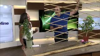 DIY Trellis [upl. by Canfield]