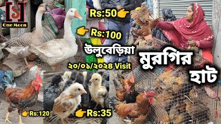 Uluberia pet market  উলুবেড়িয়া মুরগির হাট ২০০১২০২৪ Visit  Murgir hat  One Moon [upl. by Airtap]