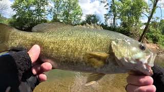 EPIC DAY Caney Fork River Fishing [upl. by Lamberto]