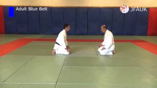 JFAUK Grading Syllabus Adult Blue Belt [upl. by Warner233]