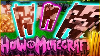 How To Min3craft SMP  quotBEAUTIFUL NEW COW FARMquot  Episode 5 [upl. by Bramwell52]