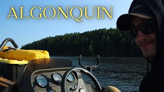 Backcountry Camping in Algonquin Park  Opeongo Lake [upl. by Hevak]