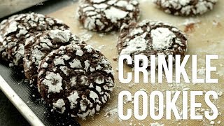 Fudgy Chocolate Crinkle Cookies How to Make Crinkles Recipe [upl. by Leake]