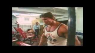 BODYBUILDING MOTIVATION 2013  ACREDITE NA SUA CAPACIDADE [upl. by Harvie]