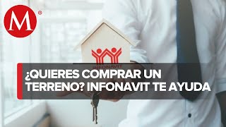 Infonavit lanza crédito para adquirir un terreno estos son los requisitos [upl. by Sinnylg847]