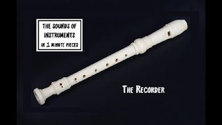 The Recorder The Sounds of Instruments in 1 min pieces [upl. by Dawna]