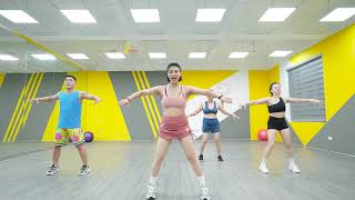 Do This Every Day To Lose 5kg In 2 Week  Mira Pham Aerobics [upl. by Maroj]