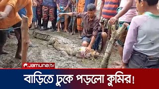 হাঁসমুরগির লোভে লক্ষ্মীপুরে একটি বাড়িতে হঠাৎই কুমিরের হানা  Lakshmipur Crocodile Rescue JamunaTV [upl. by Chastity733]